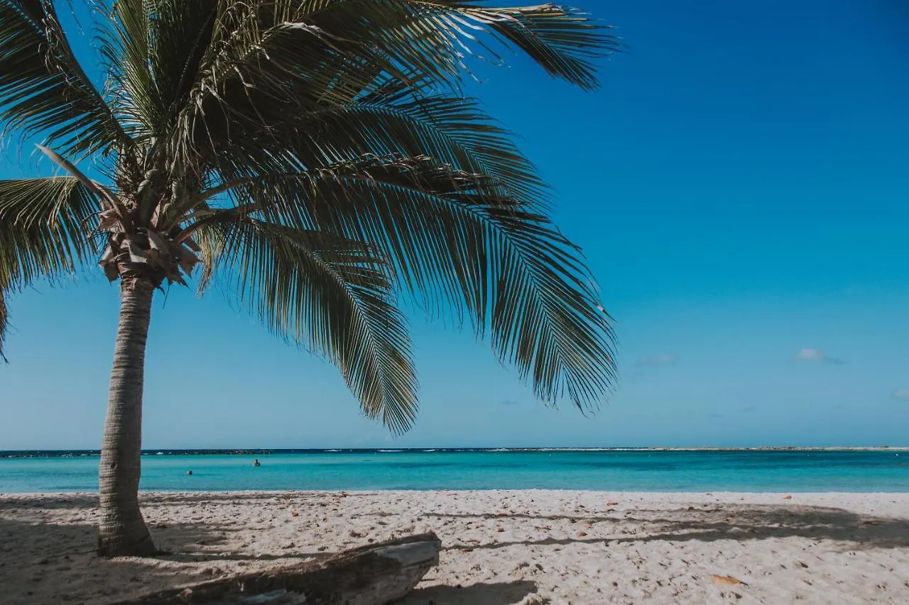 Oceanview Paradise In The One Happy Island Oranjestad