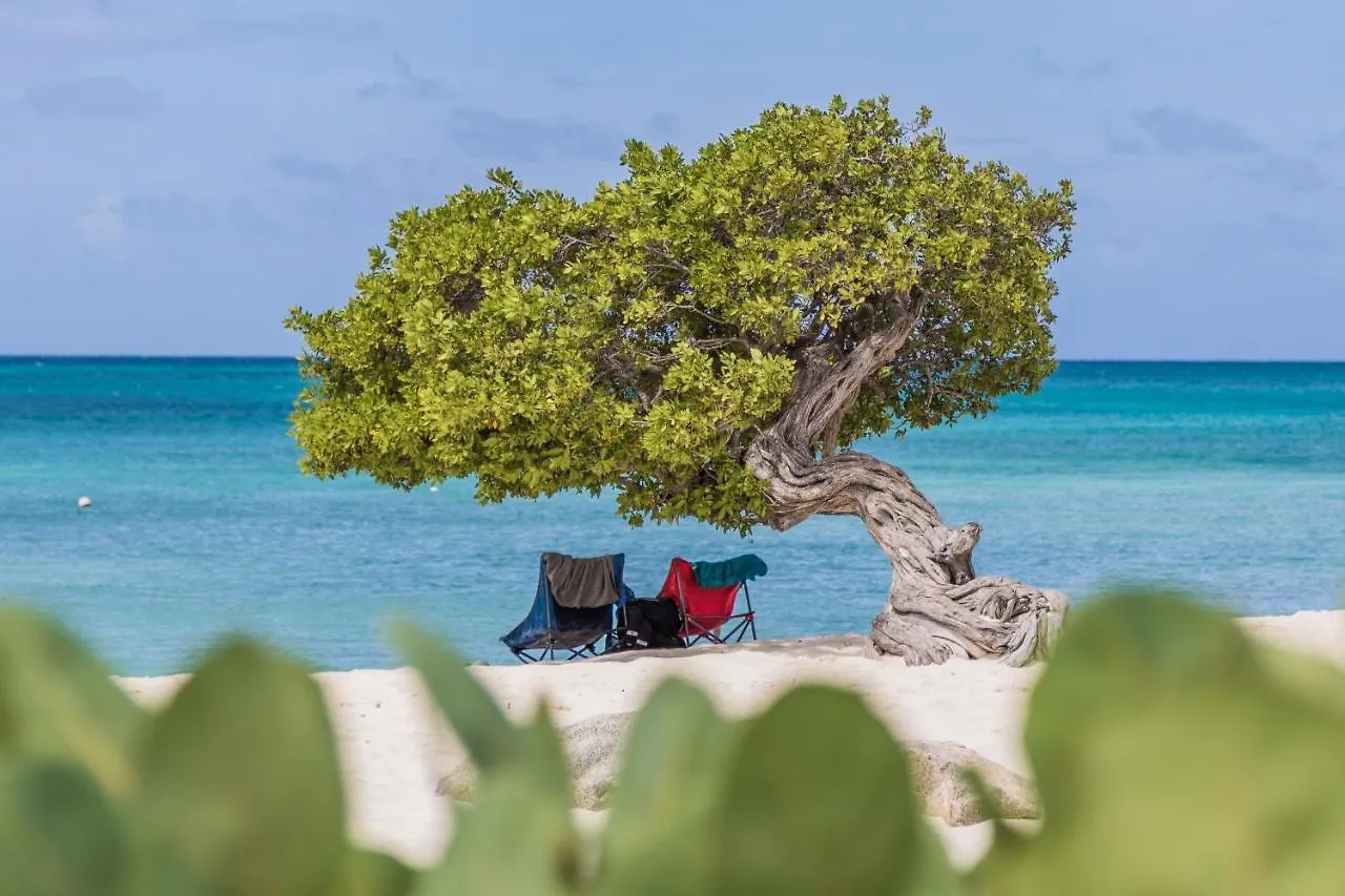 Oceanview Paradise In The One Happy Island Oranjestad Aruba