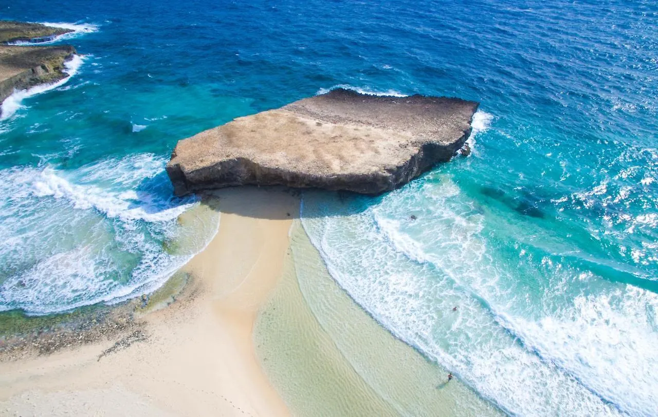 Oceanview Paradise In The One Happy Island 奥拉涅斯塔德 0*,  阿鲁巴岛